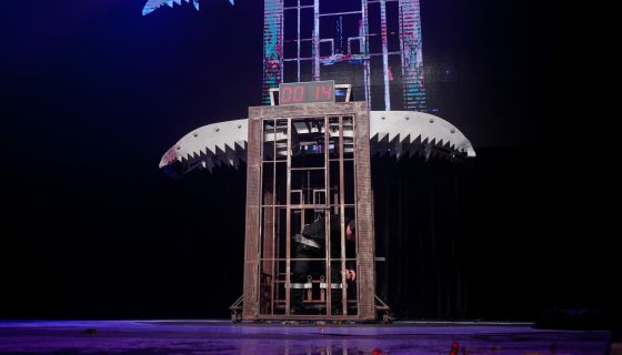 Иллюзионисты Братья Сафроновы. Шоу «Великие Иллюзии»