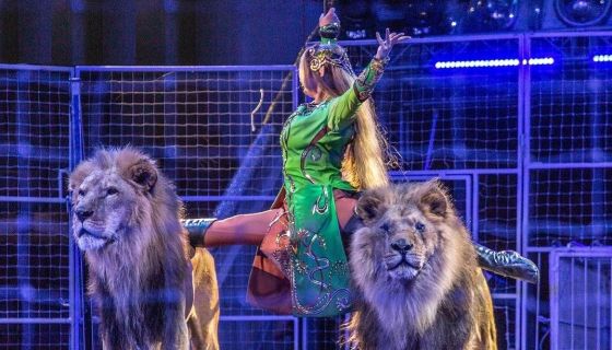 Цирк-шапито «Империя мастеров»