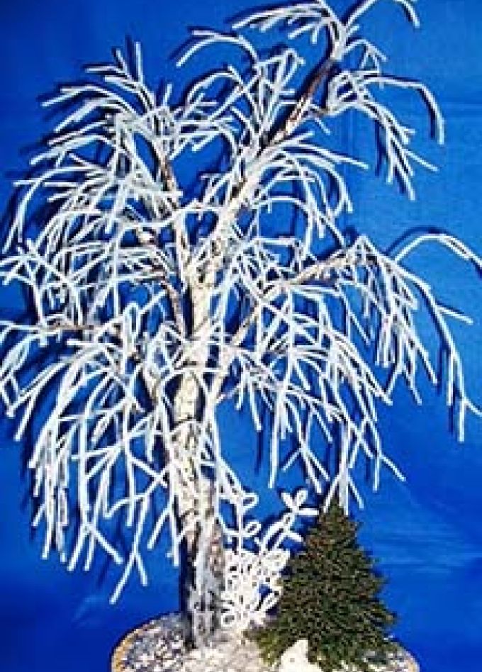 Новогодние чудеса. Выставка