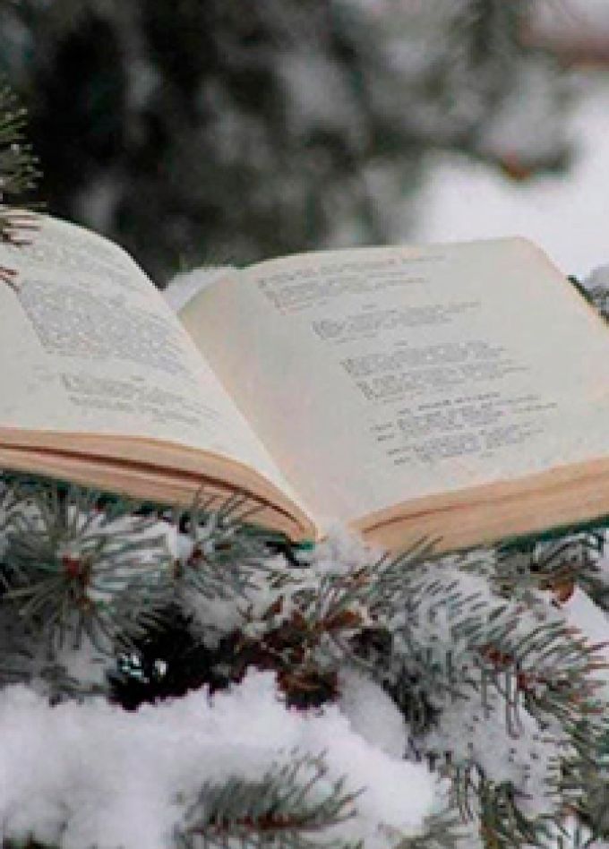 Новогоднее приключение в стране литературных героев. Зимний этюд