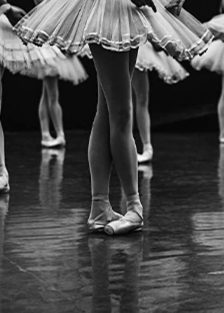 Мир балета. Встреча