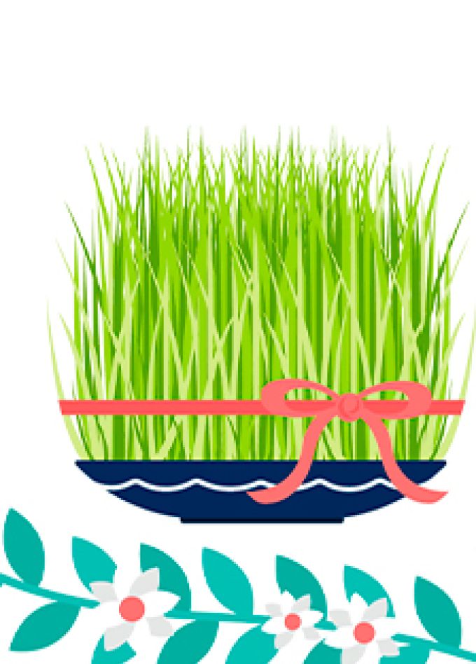 Народный праздник Наурыз. Фольклорно-познавательная программа