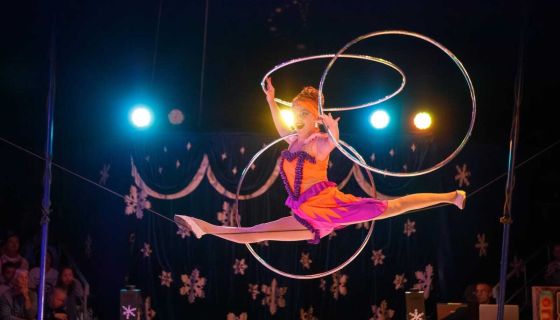 Цирк на льду «Grand Safari»