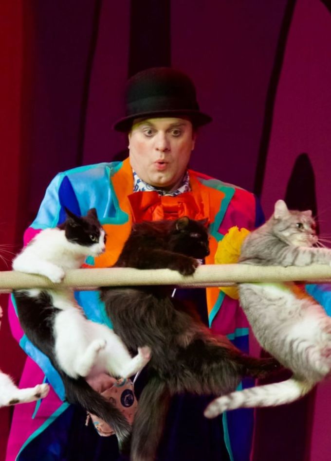 Владимир Куклачёв. Волшебные кошки