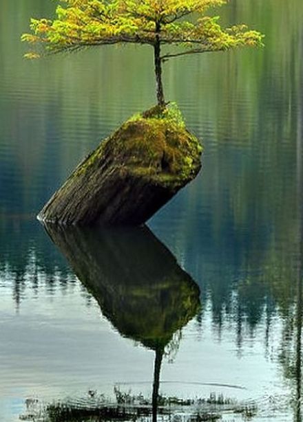 Вопреки всему. Культурно-просветительская программа