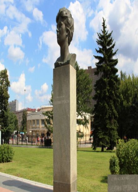 Чайка над планетой