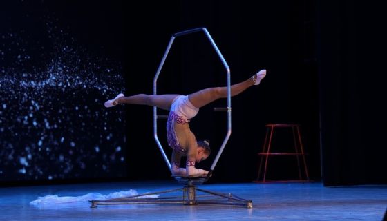 Цирковое шоу «Парадиз», Рославль